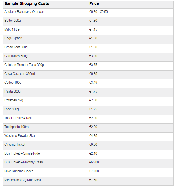 Example of a typical spending and grocery shop for a student in Ireland